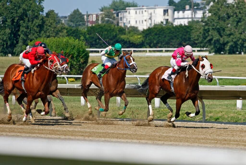 Horse-Racing-james-anthony