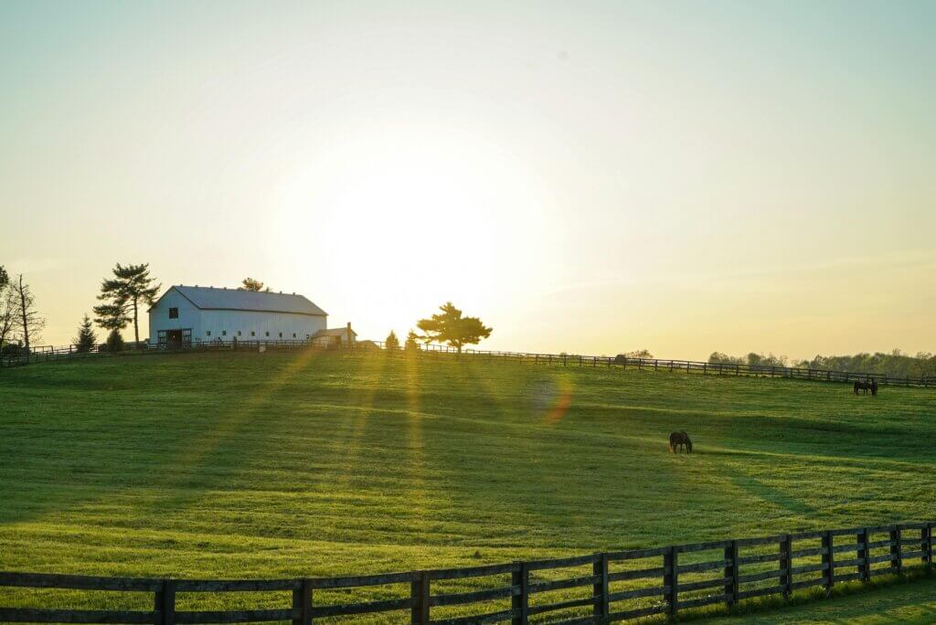 Kentucky-Bluegrass-Field-brandon-randolph