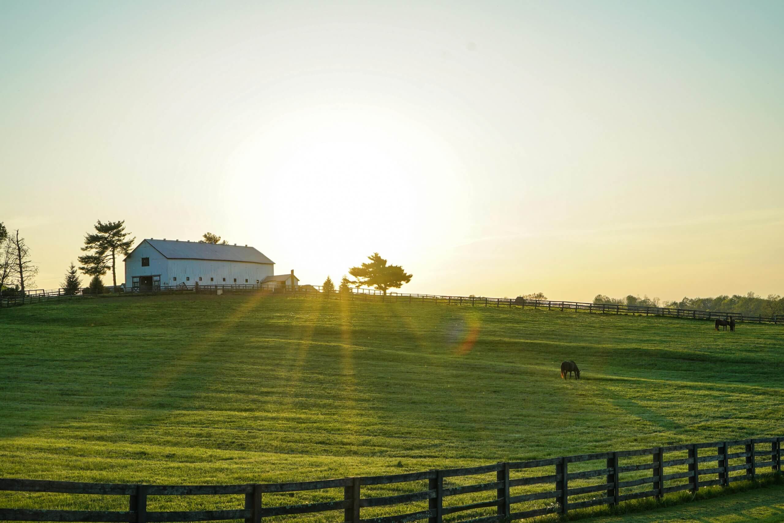 Kentucky: A Travel Guide Through the Bluegrass State
