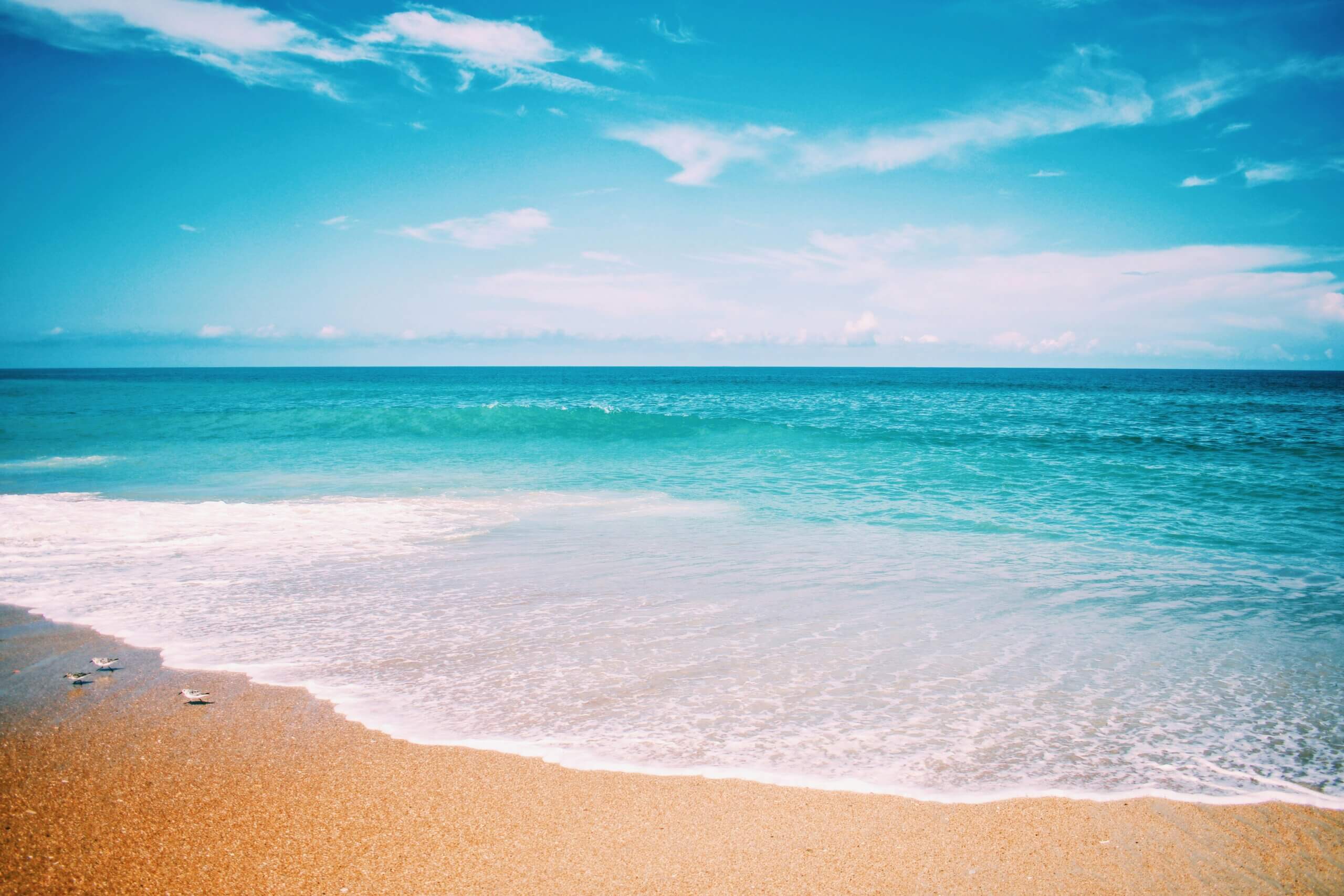 South Carolina: A Complete Travel & Adventure Guide