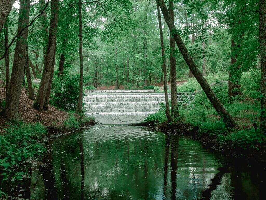 SC-Waterfall-jared-brotman