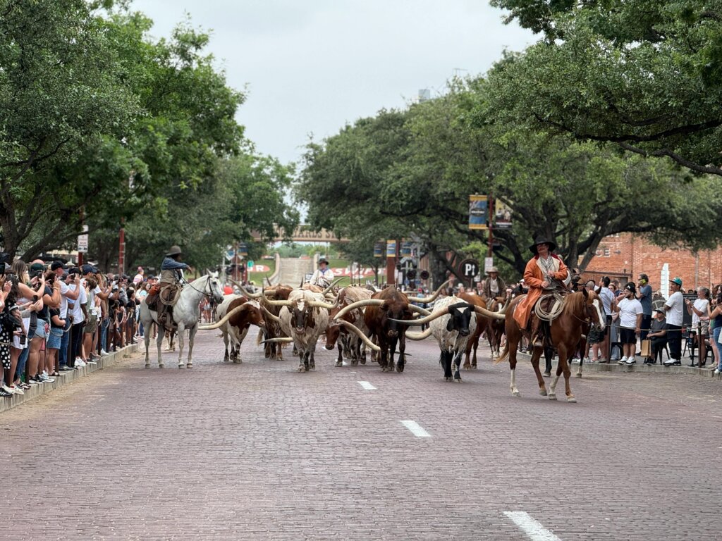 TX-FtWorth-vishnu-vardhan-akula