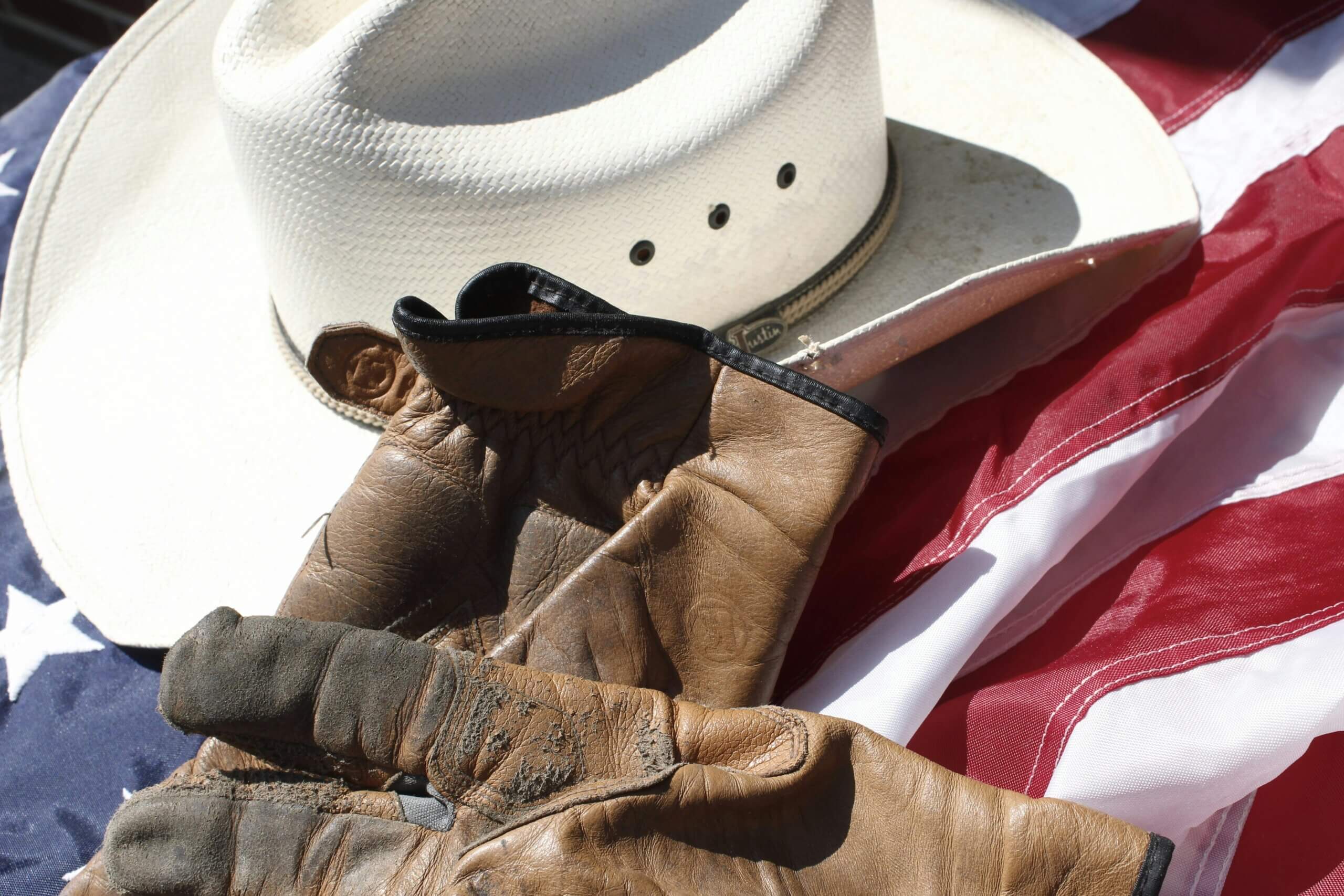 Texas: Not So Lonely in the Lone Star State