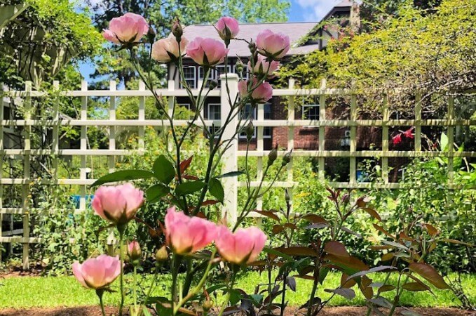 Unique-Itinerary-Eudora-Welty