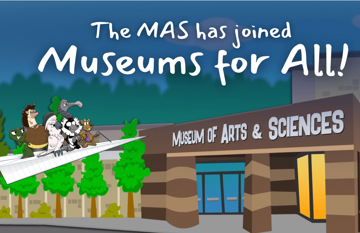 Macon-MAS