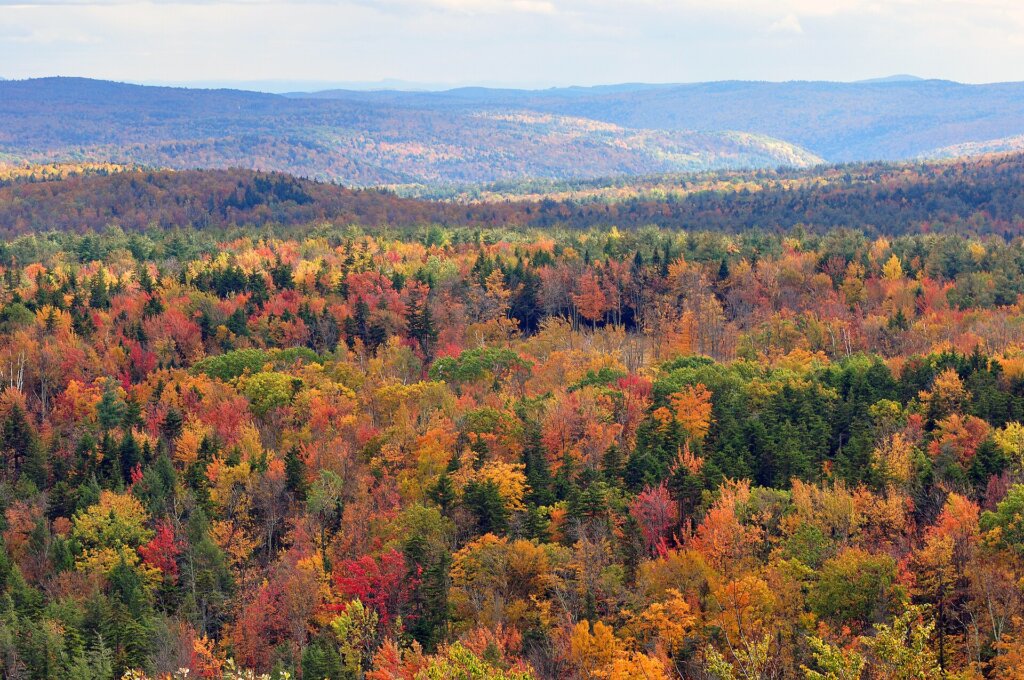 VT-fall-foliage-Chensiyuan