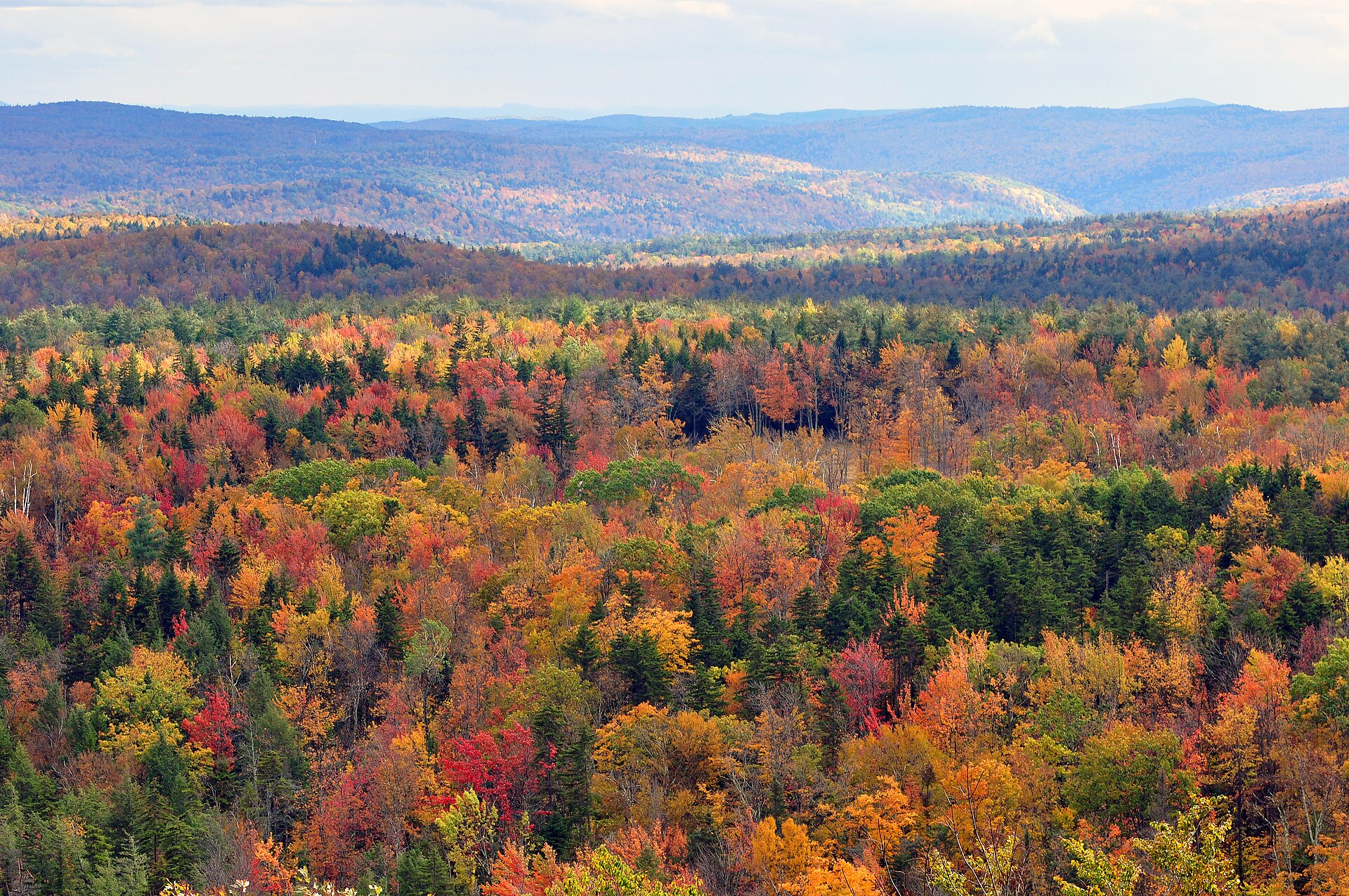 Vermont: A Travel Guide Through the Green Mountain State
