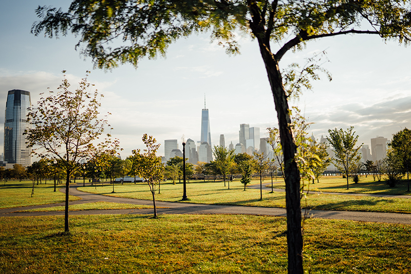 Shot of field in Liberty State Park with buildings in the distance.