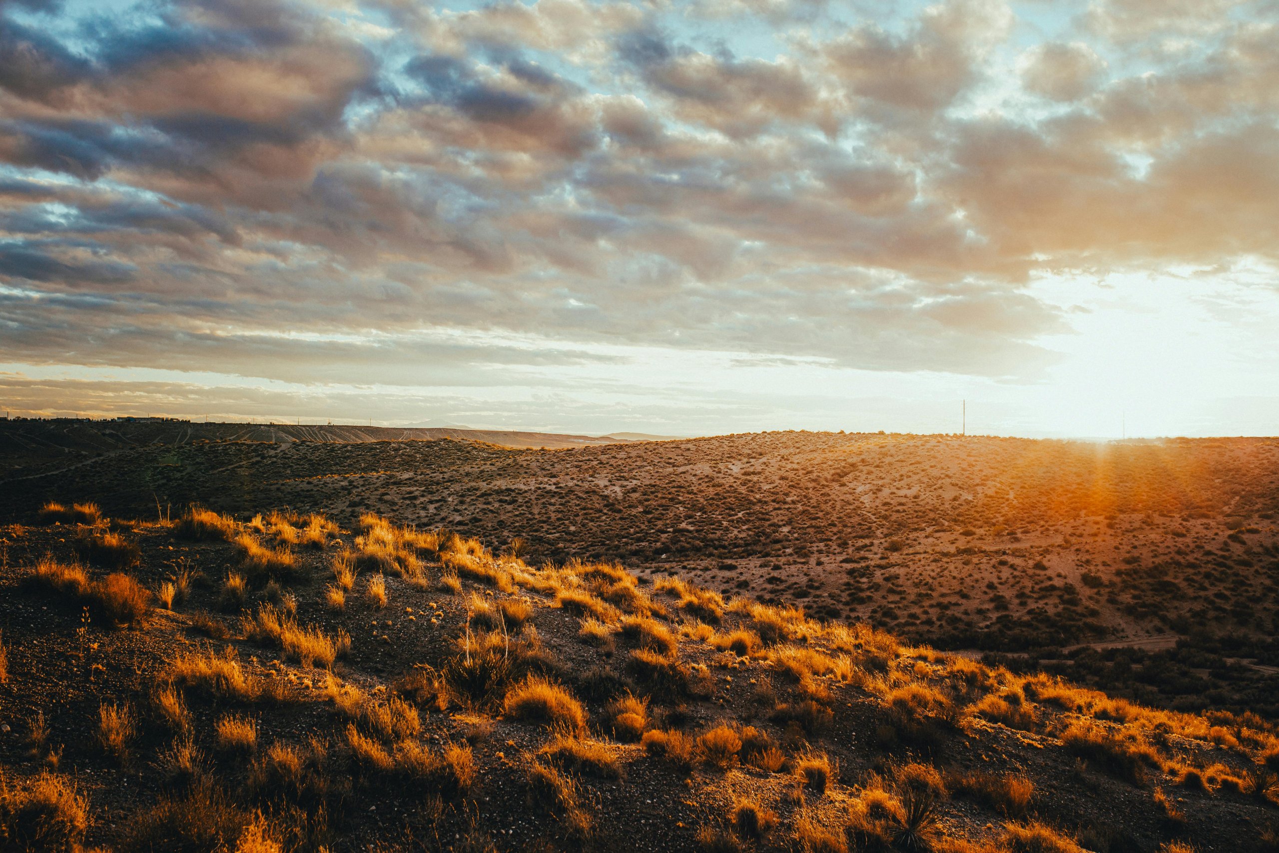 New Mexico: A Travel Guide Through the Land of Enchantment