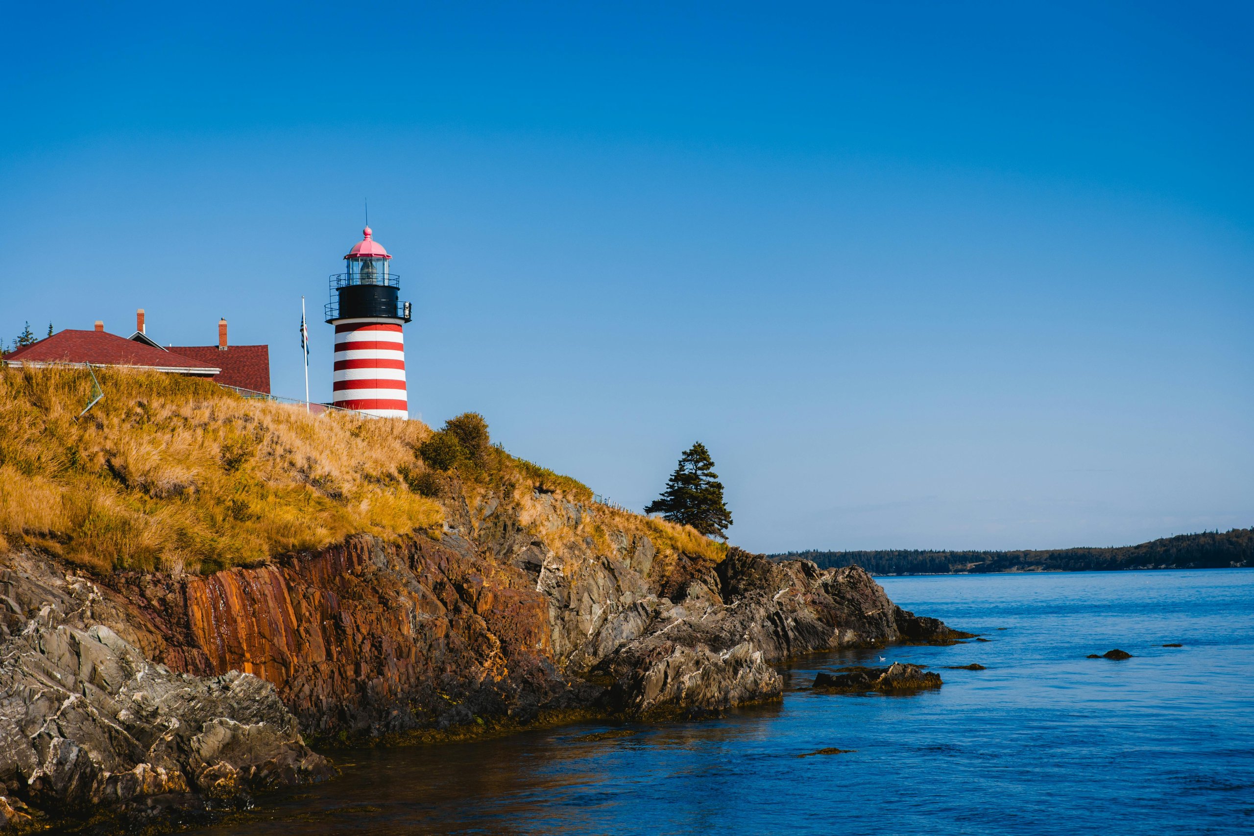 Maine: Moose, Lighthouses, and Pine Cones