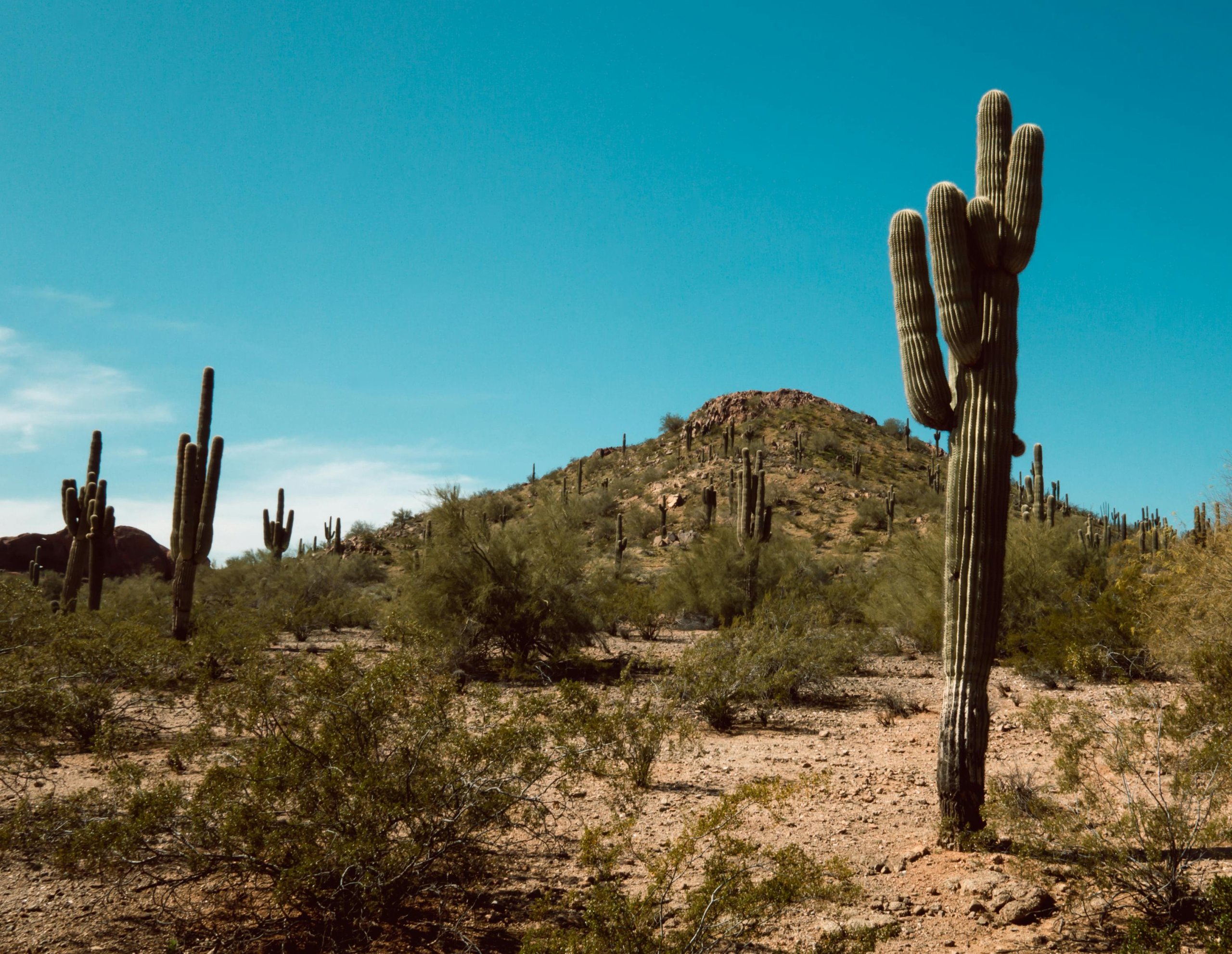 Arizona: A Travel Guide Through the Grand Canyon State