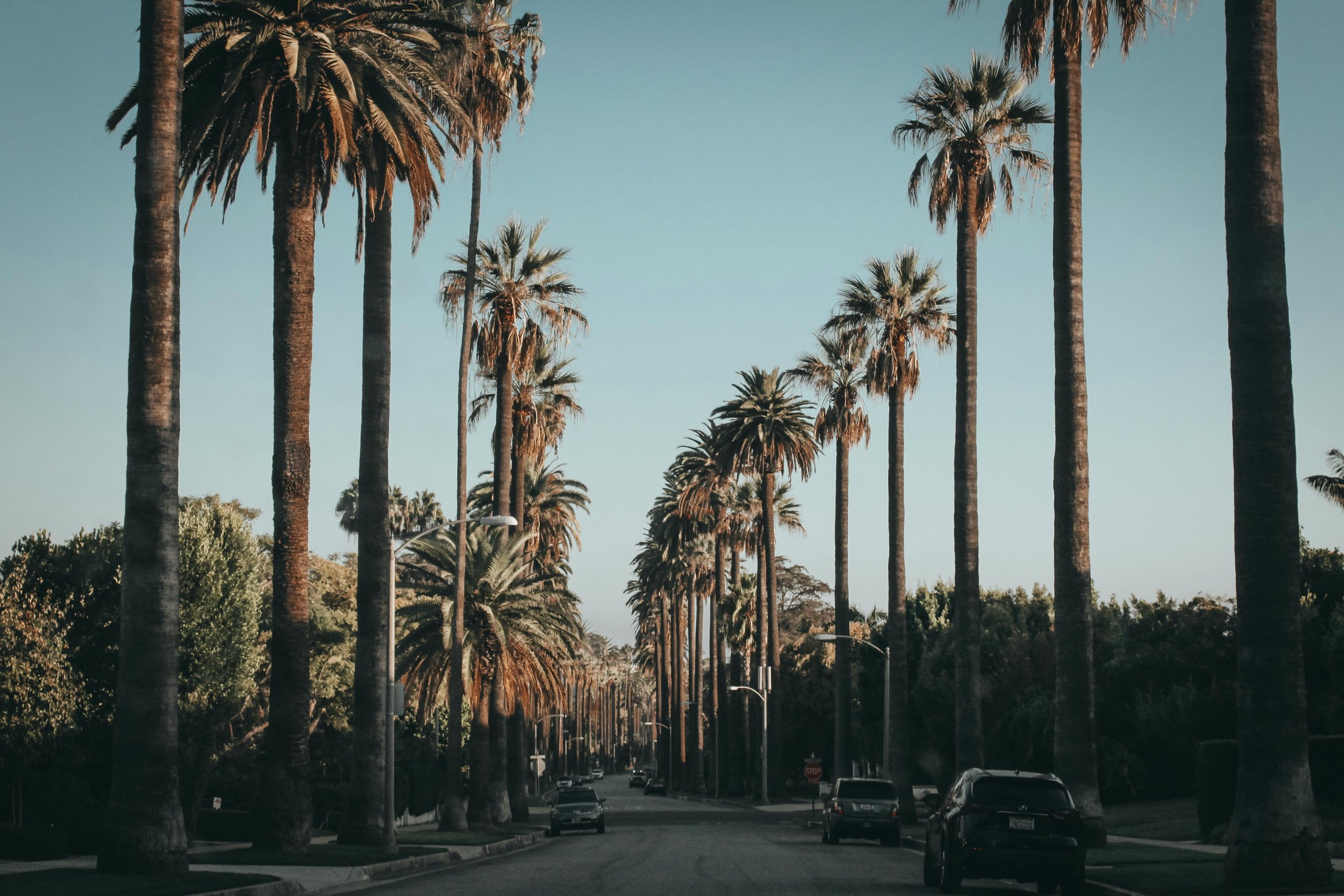 California: A Travel Guide Through the Golden State